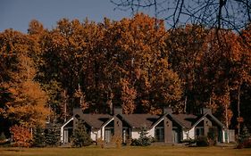 Телячі Ніжності